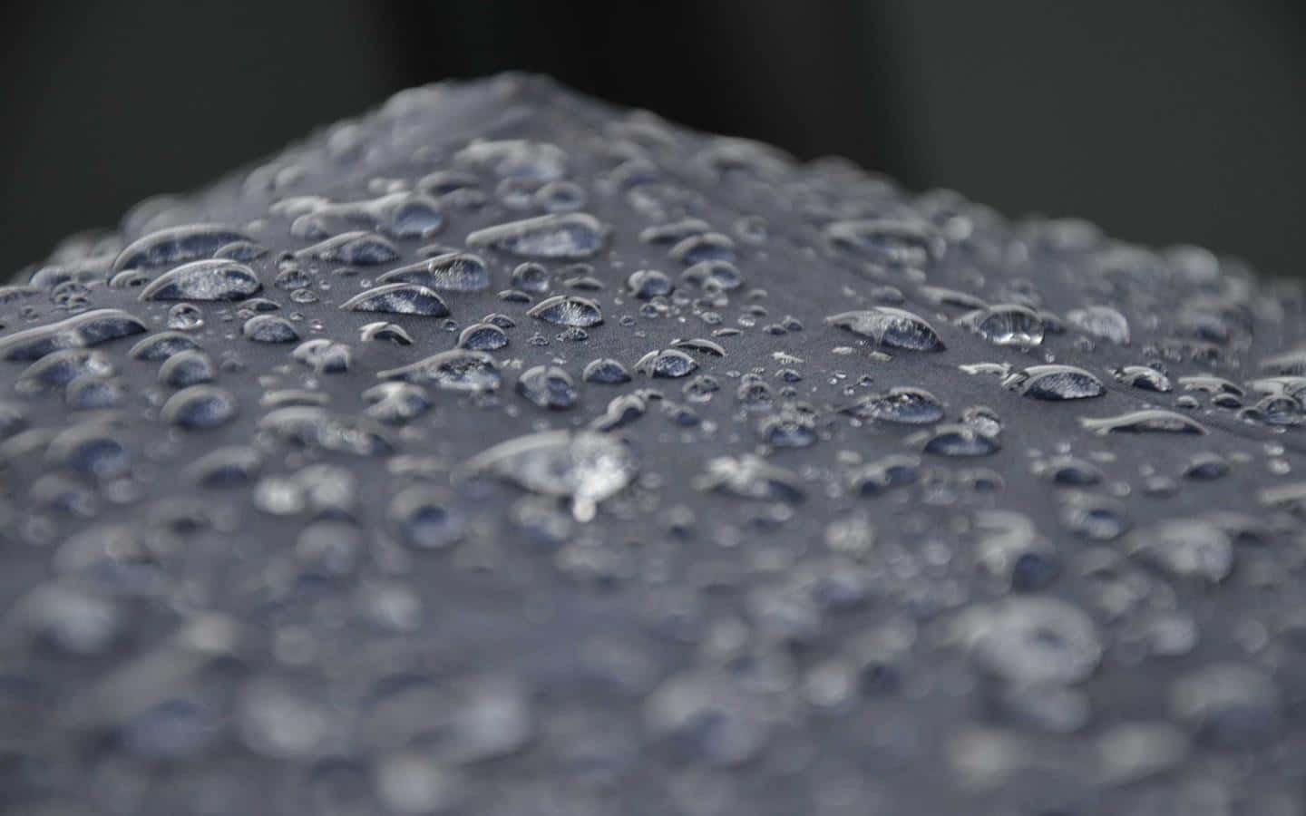 Veneto, la Regione stanzia 40 milioni per le imprese colpite dall'alluvione