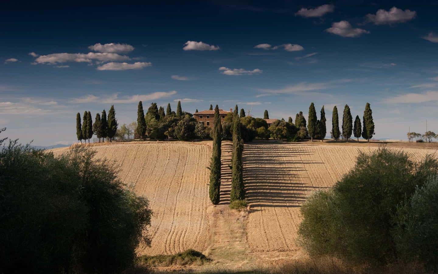 Roma, il Comune approva il piano per il verde: tremila alberi entro due anni
